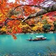 鲸鱼直播taibao